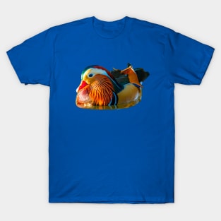 Mandarin magnificence T-Shirt